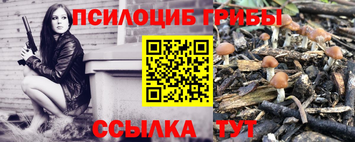 Псилоцибиновые грибы Psilocybe  Вход с VPN  Псилоцибиновые грибы Psilocybine cubensis  Северск 